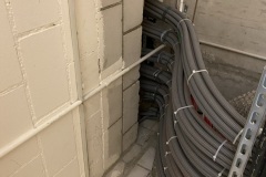 IMG_9642